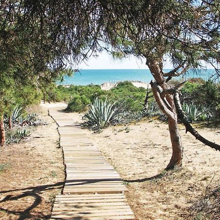 Amazing apartment in Guardamar del Segura with 2 Bedrooms, WiFi&Outdoor swimming pool Buitenkant foto